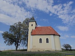 Délről Délről