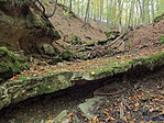 Mészkőpad - fogyóban Mészkőpad - fogyóban