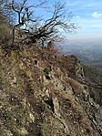 Ösvény Ösvény