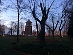 176. Budapest Népliget juhar 176. Budapest Népliget juhar