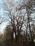 IMG_20171220_090626 IMG_20171220_090626