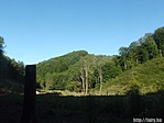 Gyepes-völgyben Gyepes-völgyben
