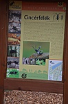 Cincér félék Cincér félék