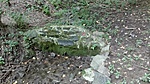 Margit-forrás Margit-forrás