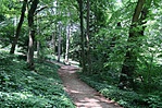 Pihenés az Arborétumban Pihenés az Arborétumban