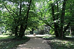 Arborétumban Arborétumban