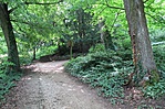 Kijárat az Arborétumból Kijárat az Arborétumból