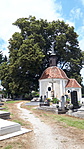 687. Kislevelű hárs - Zalaegerszeg (Ola) 687. Kislevelű hárs - Zalaegerszeg (Ola)