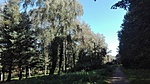 Zalaegerszeg, Csácsi parkerdő Zalaegerszeg, Csácsi parkerdő