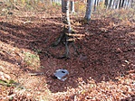 Gerecse, Jura-zsomboly Gerecse, Jura-zsomboly