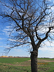 IMG_5729 IMG_5729