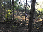 Dzsinszka az erdőben