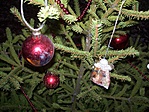 Karácsonyfa az erdőben (8)