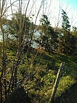 Katalin tó I.