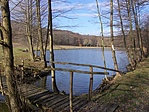 Ropolyi-tó (2)
