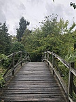 2019 10 05 Erdőtelek Arborétum Híd GCGUMI