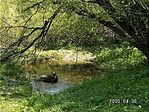 A tavacska A tavacska
