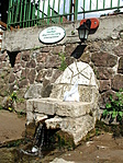 Forrás Forrás