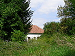bozótos bozótos