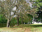 park park