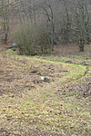 Homokkő-forrás #5 Homokkő-forrás #5