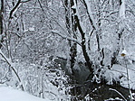 Bakonyi tél Bakonyi tél