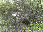 20160410_135728 20160410_135728