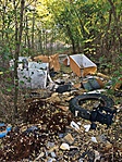 IMG_3599 IMG_3599