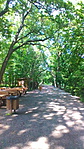 Sétány a parkban Sétány a parkban