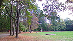 Csodálatos park Csodálatos park