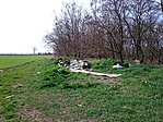 DSC_0178 DSC_0178