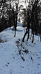 Szent-Vid Szent-Vid
