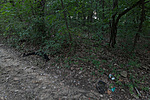 DSC07597 DSC07597