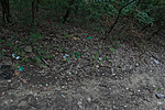 DSC07600 DSC07600