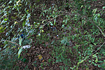 DSC07606 DSC07606