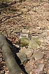Árnyas-forrás Forrás: GCSULE ládaoldal Árnyas-forrás Forrás: GCSULE ládaoldal