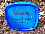 2006 03 25 Az első megtalált geoláda! 2006 03 25 Az első megtalált geoláda!