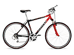 Kelly's Axis Red Kelly's Axis Red