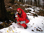 A Mecsek legmagasabb pontja A Mecsek legmagasabb pontja