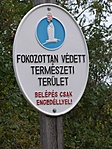 Ilyet sem gyakran látni Ilyet sem gyakran látni