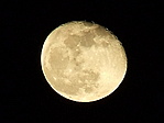 The light side of the moon. The light side of the moon.