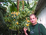 Hortus Botanicus Hortus Botanicus