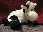 Moo ving on Moo ving on
