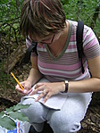 Zsuzsa Zsuzsa