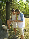 Adategyeztetés Adategyeztetés