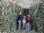 Jubileum: 50. megtalálás! Jubileum: 50. megtalálás!