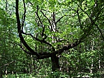 Eperjes tanösvény Eperjes tanösvény