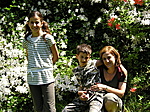 Gyermekeimmel Gyermekeimmel