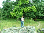 Benevár - GCMDEL Benevár - GCMDEL