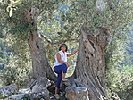 Mallorca Mallorca